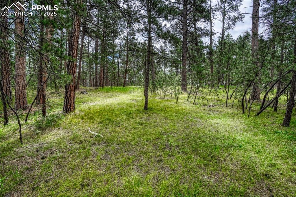 Image 25 of 37: Yard