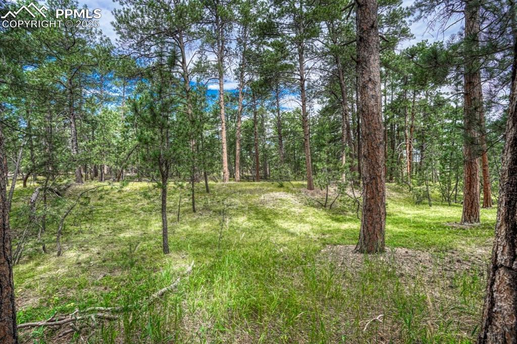 Image 26 of 37: Other