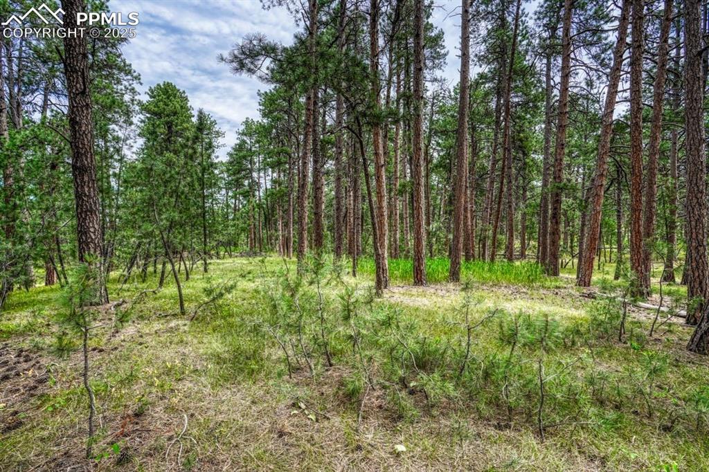 Image 27 of 37: Other