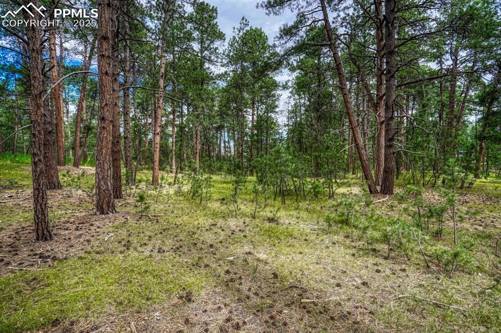 Image 29 of 37: Other