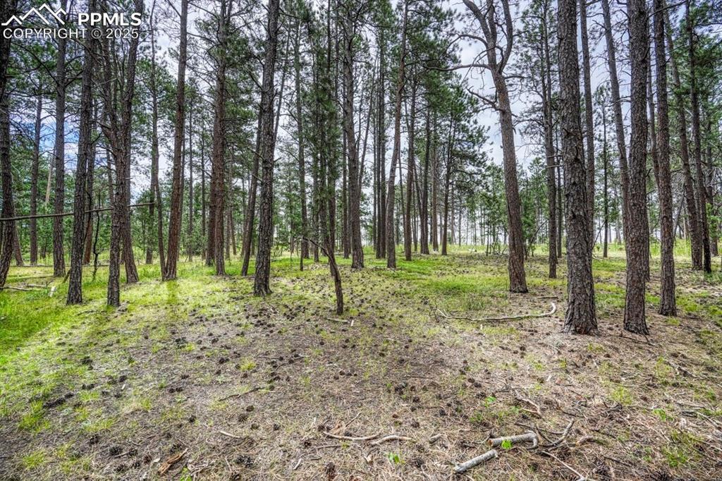 Image 30 of 37: Other