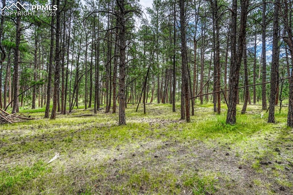 Image 31 of 37: Other