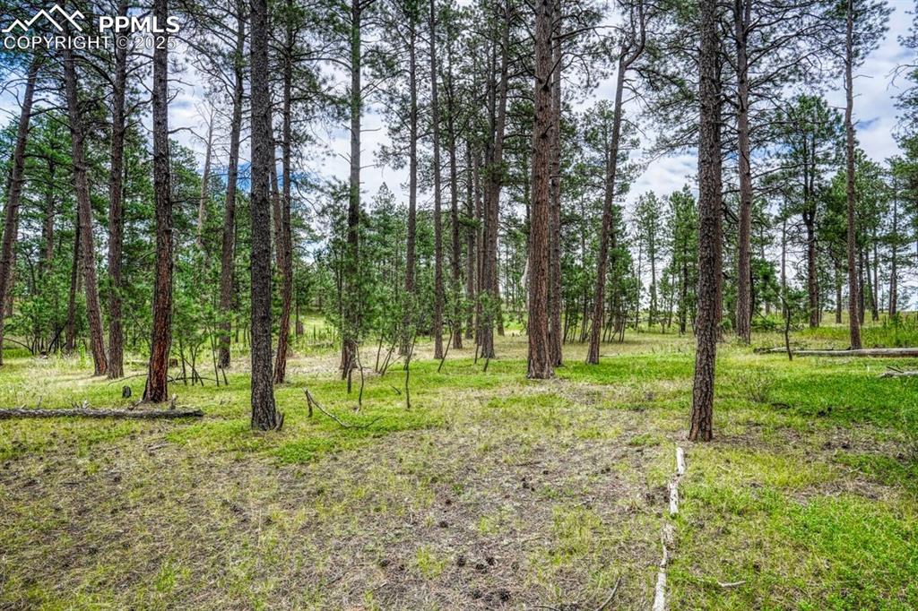 Image 32 of 37: Yard