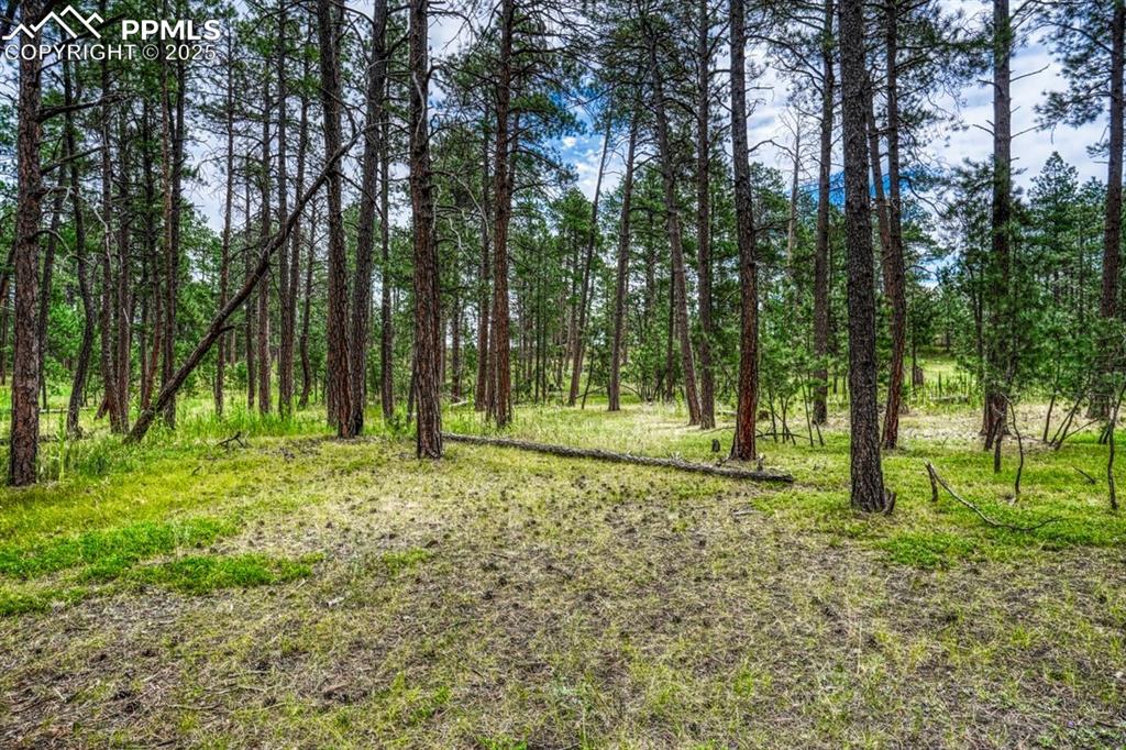 Image 33 of 37: Other