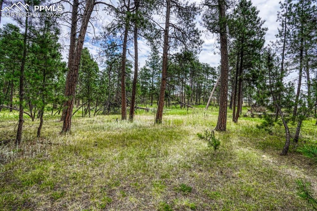 Image 35 of 37: Other