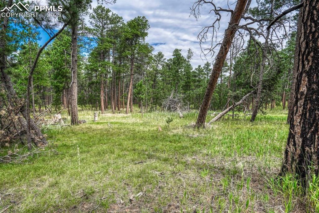 Image 37 of 37: Other