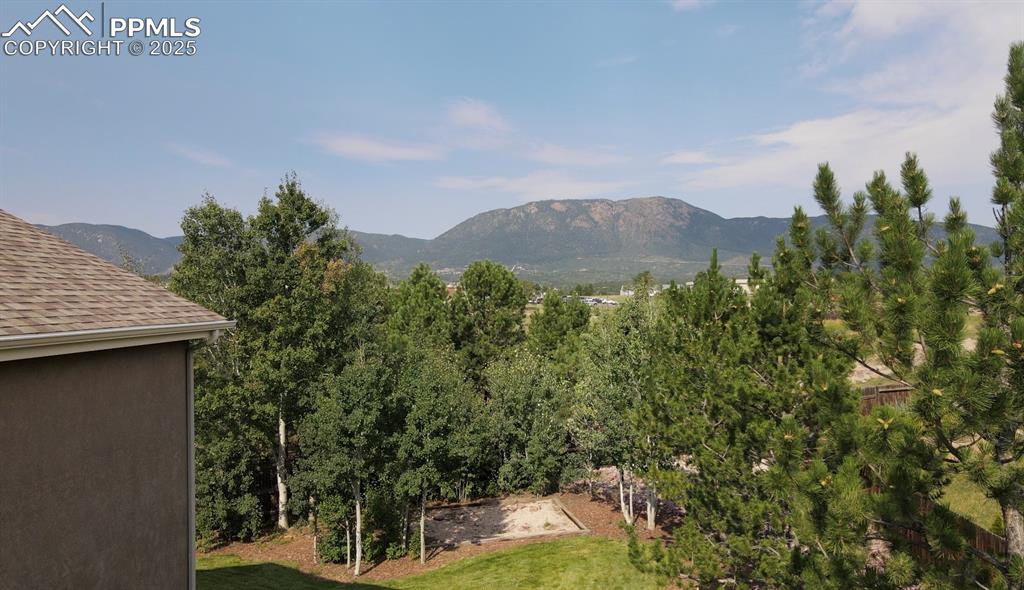 Image 46 of 50: View