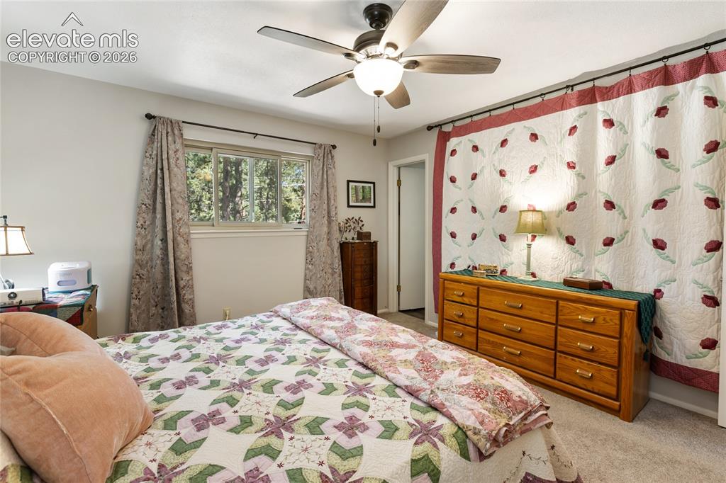 Image 29 of 39: Ceiling fan, window with exterior foliage, wall-to-wall carpeting, and neut