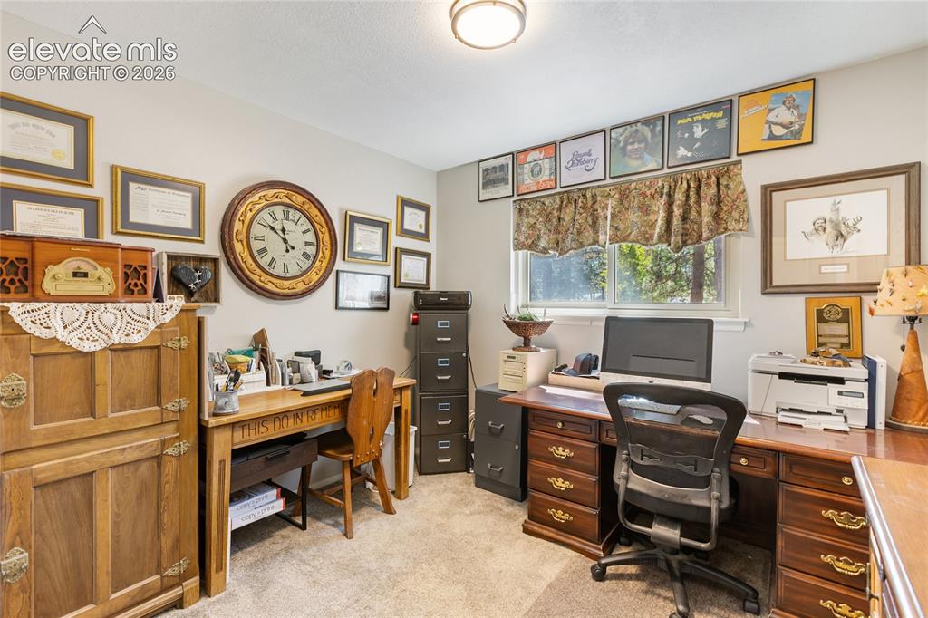 Image 34 of 39: Carpeted flooring with a flush-mount ceiling light fixture, multiple window