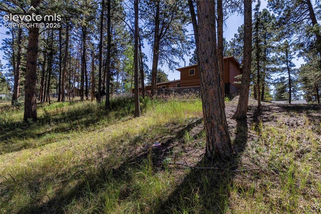 Image 5 of 39: Wooded lot with mature trees and natural landscaping