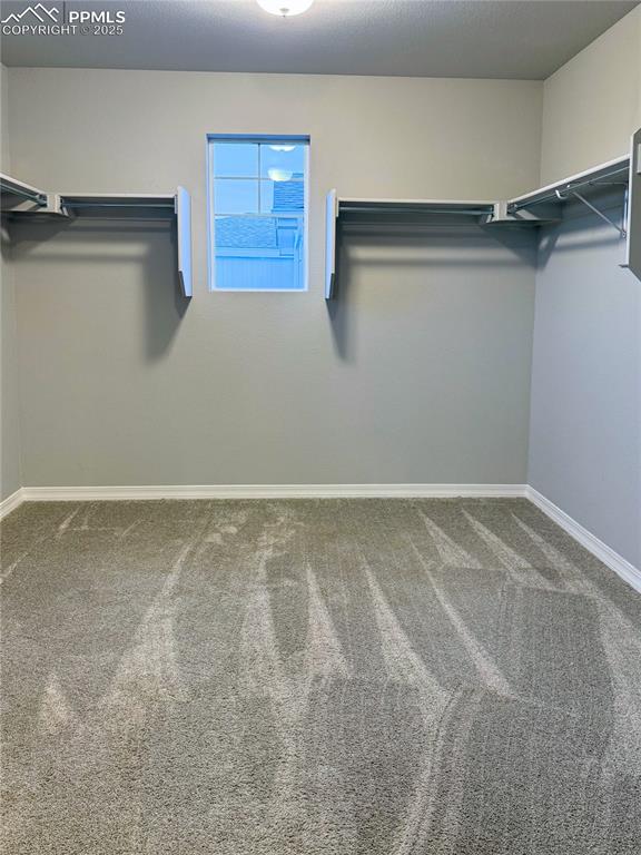 Image 9 of 14: Spacious closet with carpet floors