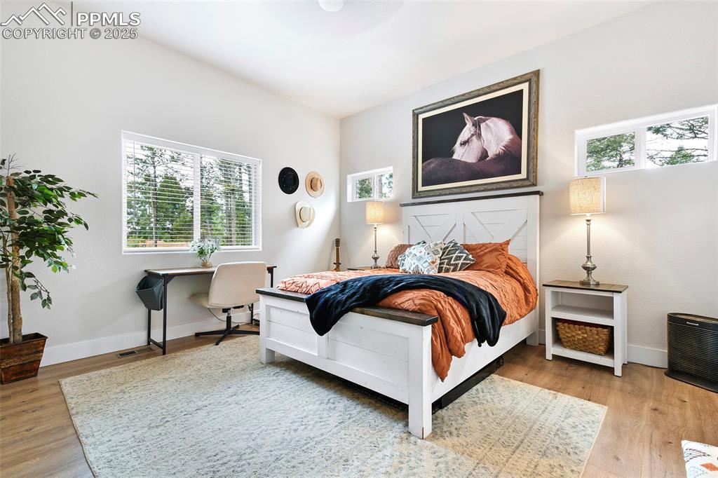 Image 17 of 40: Large Master Suite with Beautiful Vinyl Windows