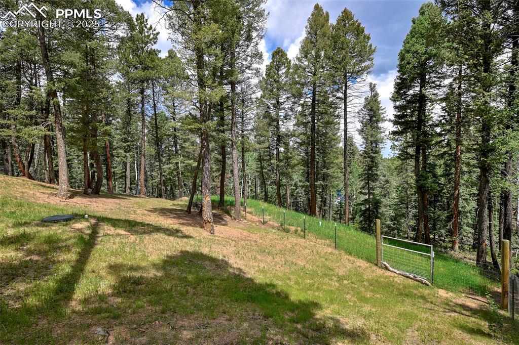 Image 43 of 50: Pet Friendly Yard