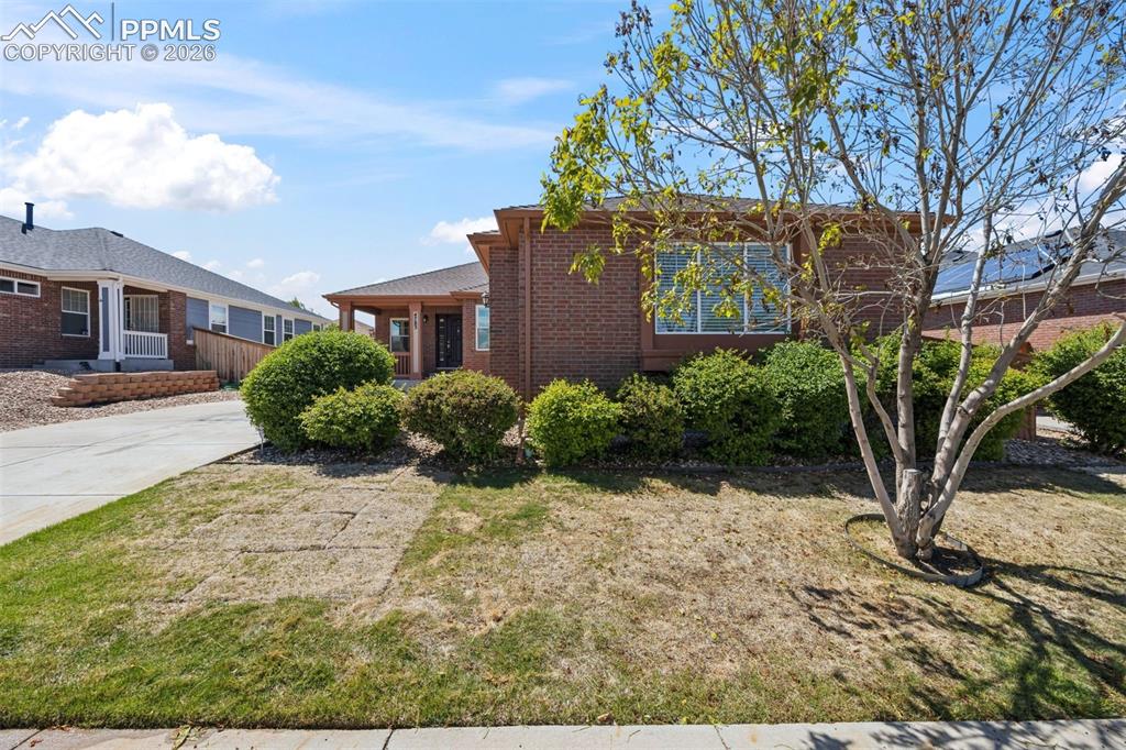 Image 9 of 40: Beautifully manicured yard, with auto sprinklers, rock beds, astro turf, an