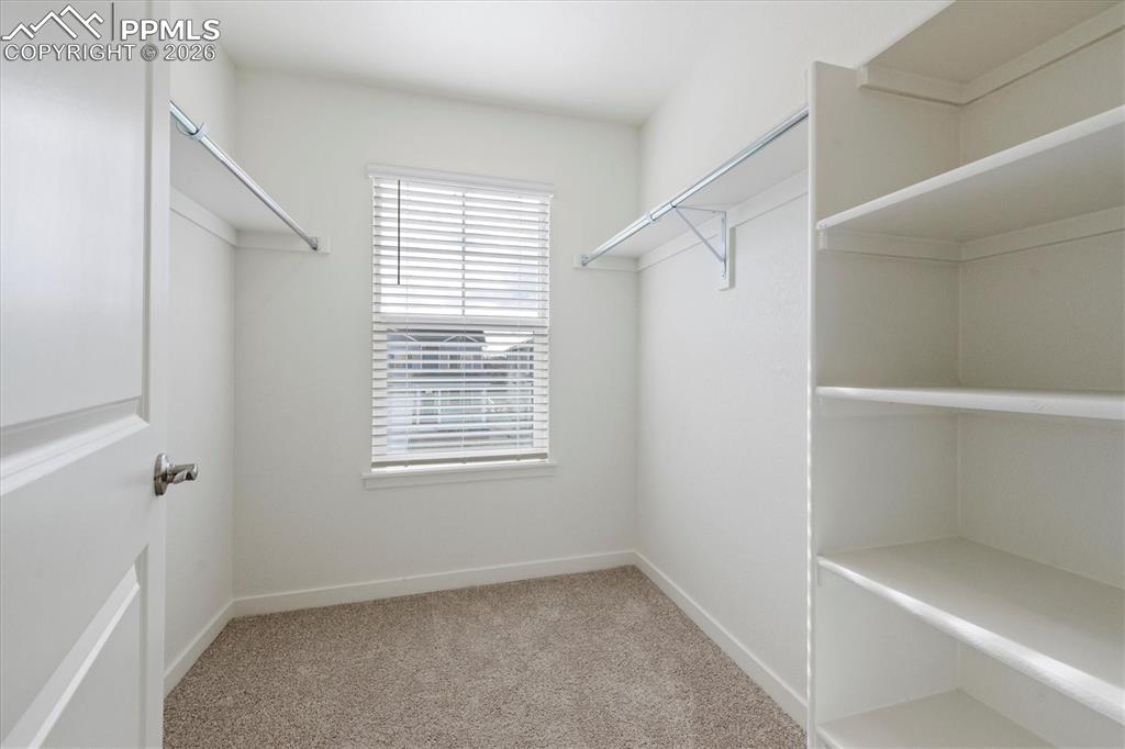 Image 15 of 19: No Description Available