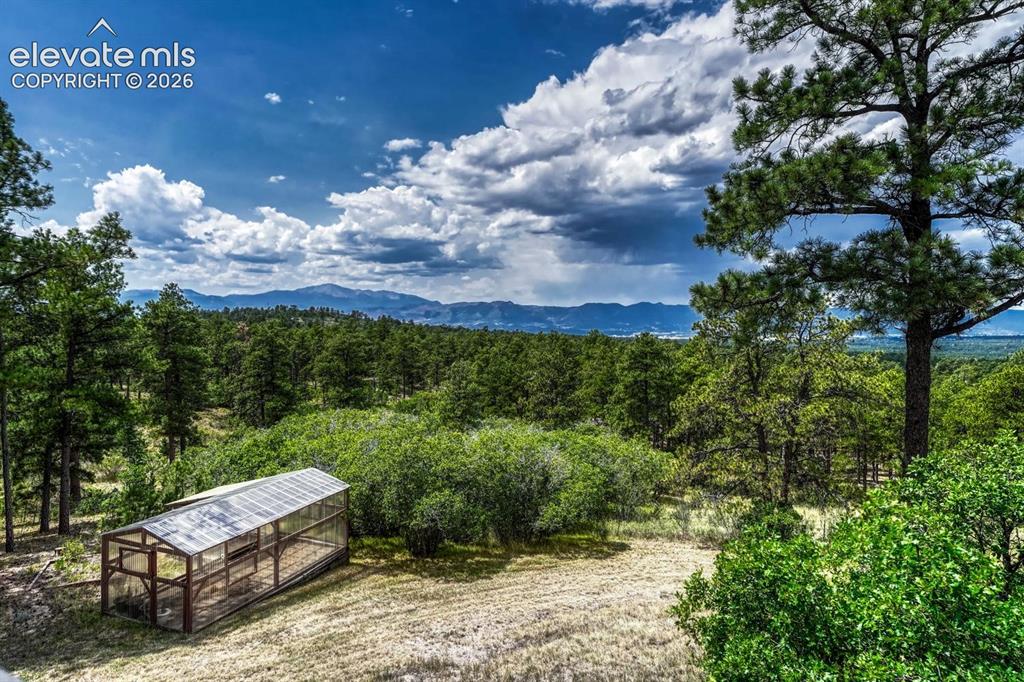 Image 27 of 50: Glorious trees and mountain views with a greenhouse for growing your own fo
