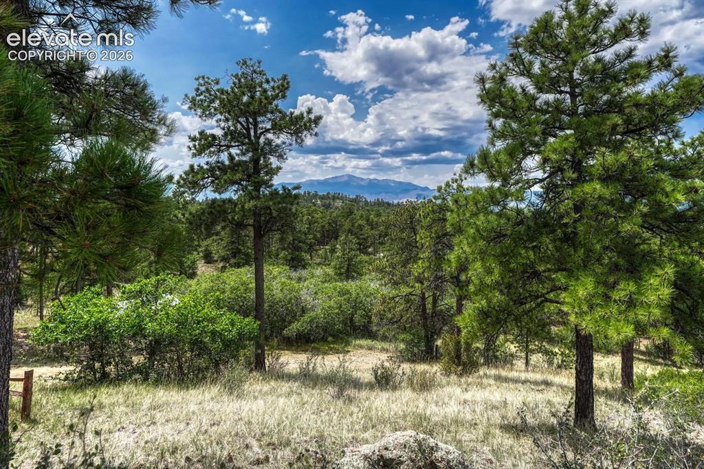 Image 9 of 50: Beautiful Pikes Peak views through the trees.