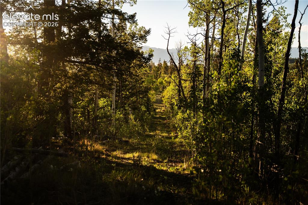 Image 18 of 41: Other