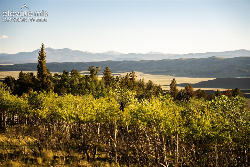 Image 19 of 41: View