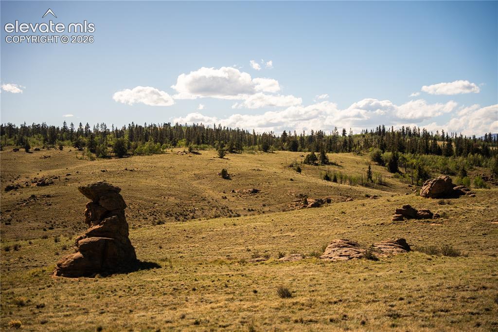 Image 20 of 41: View