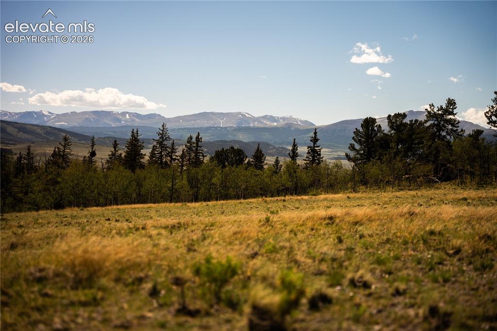 Image 26 of 41: View
