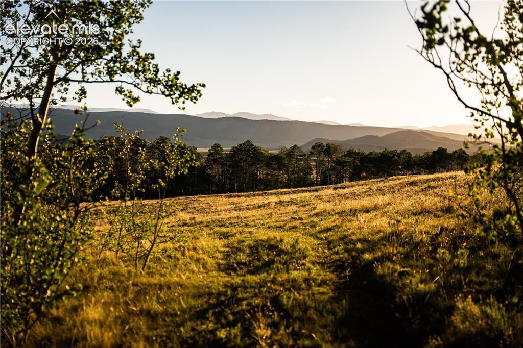 Image 8 of 41: View