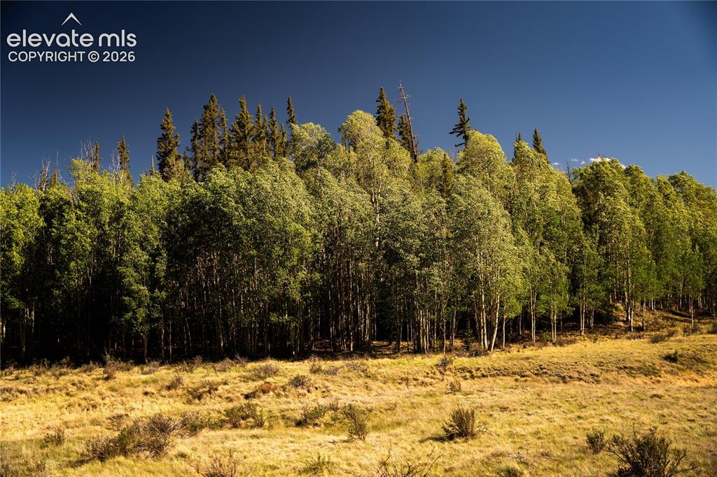 Image 9 of 41: View