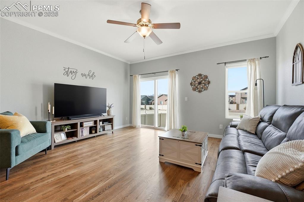 Image 15 of 50: Living Room