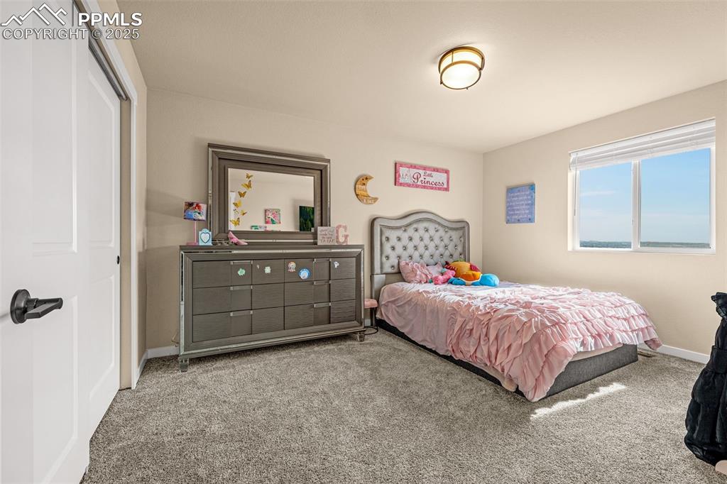 Image 28 of 46: Bedroom featuring carpet and a closet