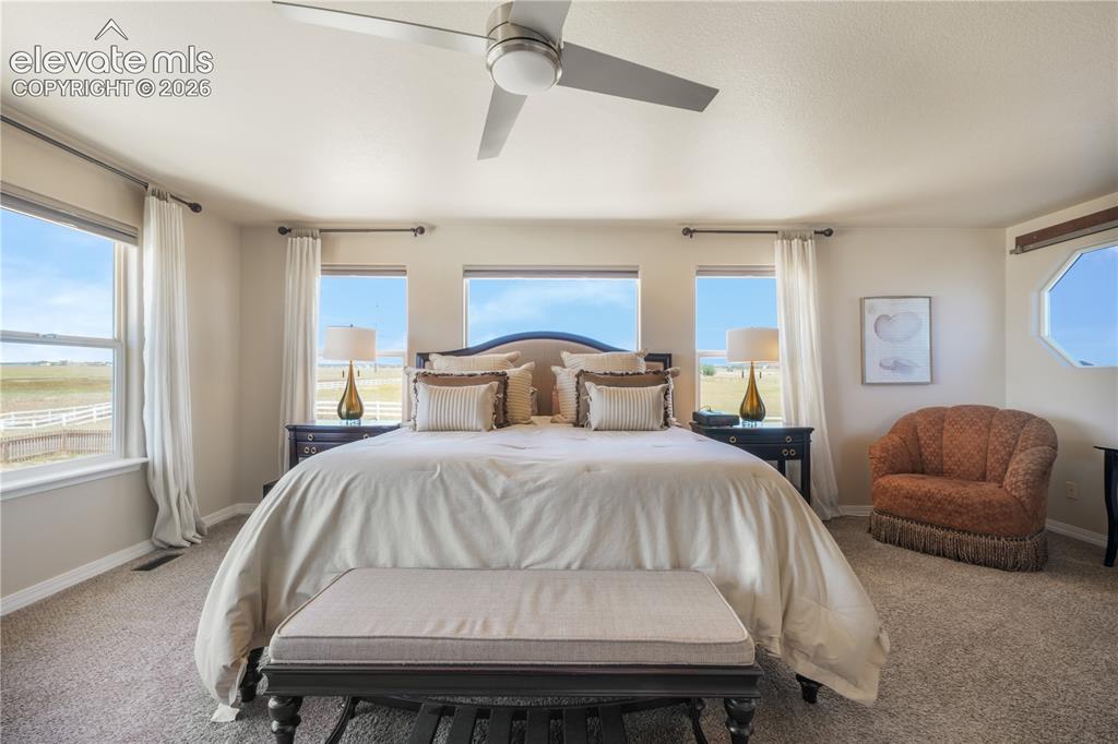Image 24 of 50: Spacious Primary Bedroom with Natural Light and Ceiling Fan