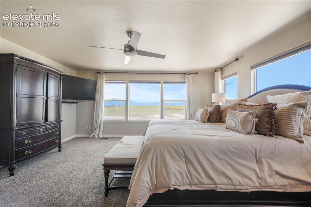 Image 26 of 50: Spacious Primary Bedroom with Walk-In Closet