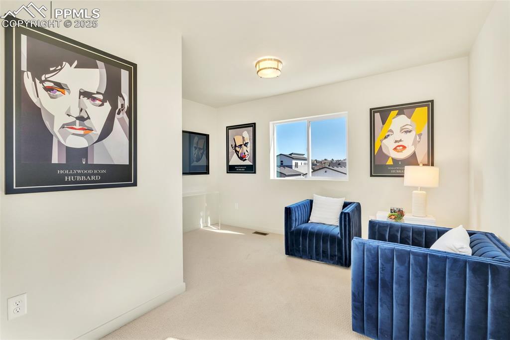 Image 20 of 29: Loft