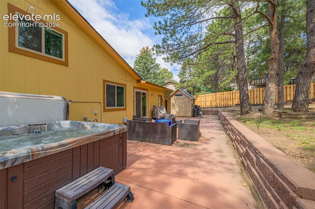 Image 26 of 40: Expansive backyard featuring mature pine trees, a wooden privacy fence, and