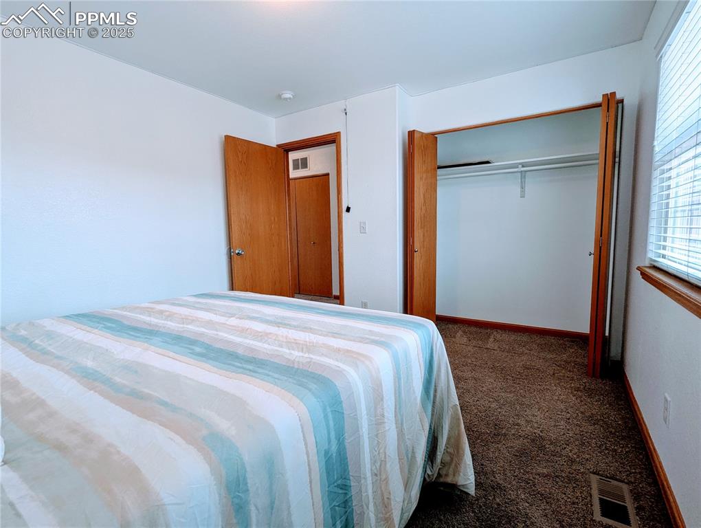 Image 11 of 19: Carpeted bedroom featuring multiple windows and a closet