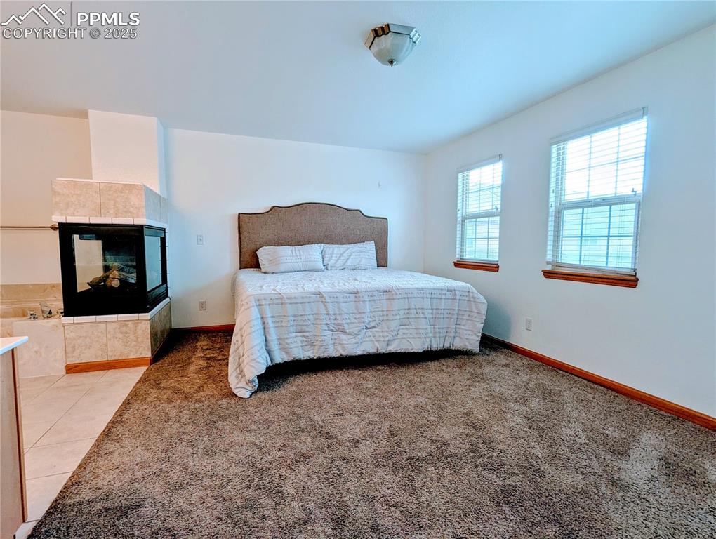 Image 13 of 19: Master Bedroom with light colored carpet and baseboards