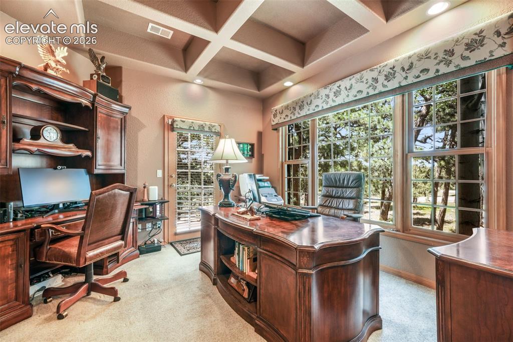 Image 18 of 50: Trey Ceiling and Exterior Access