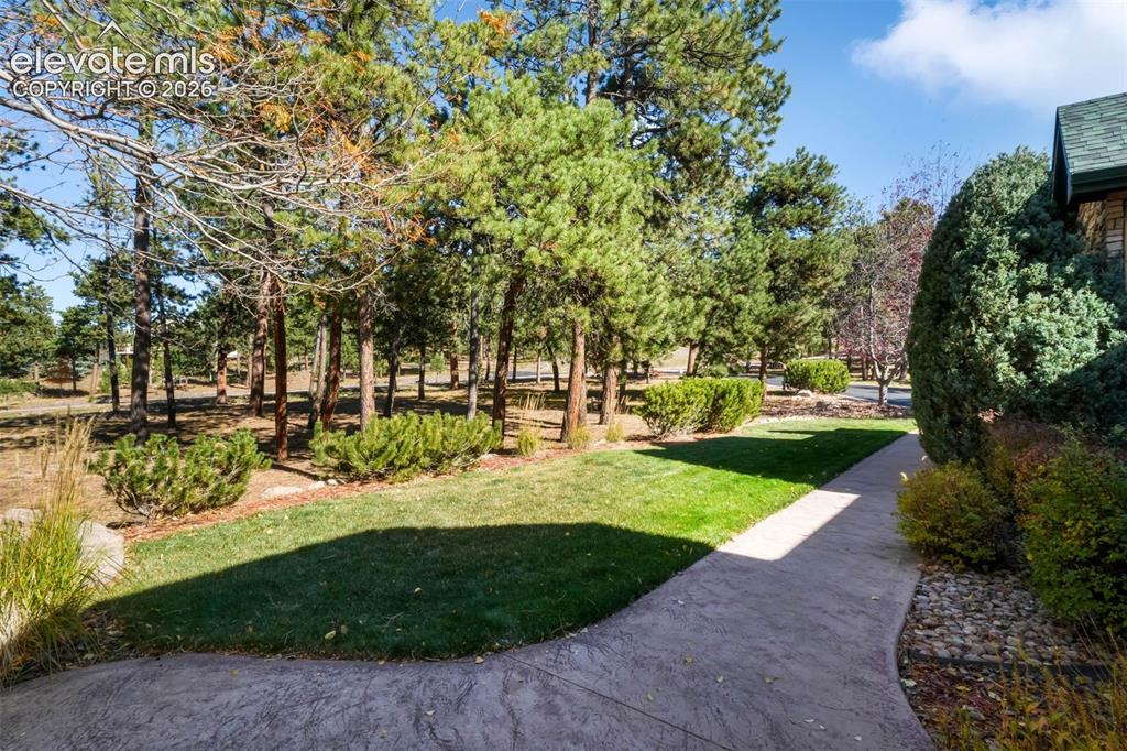 Image 5 of 50: Impeccable Landscaping