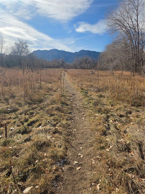 Image 36 of 37: Walking trail