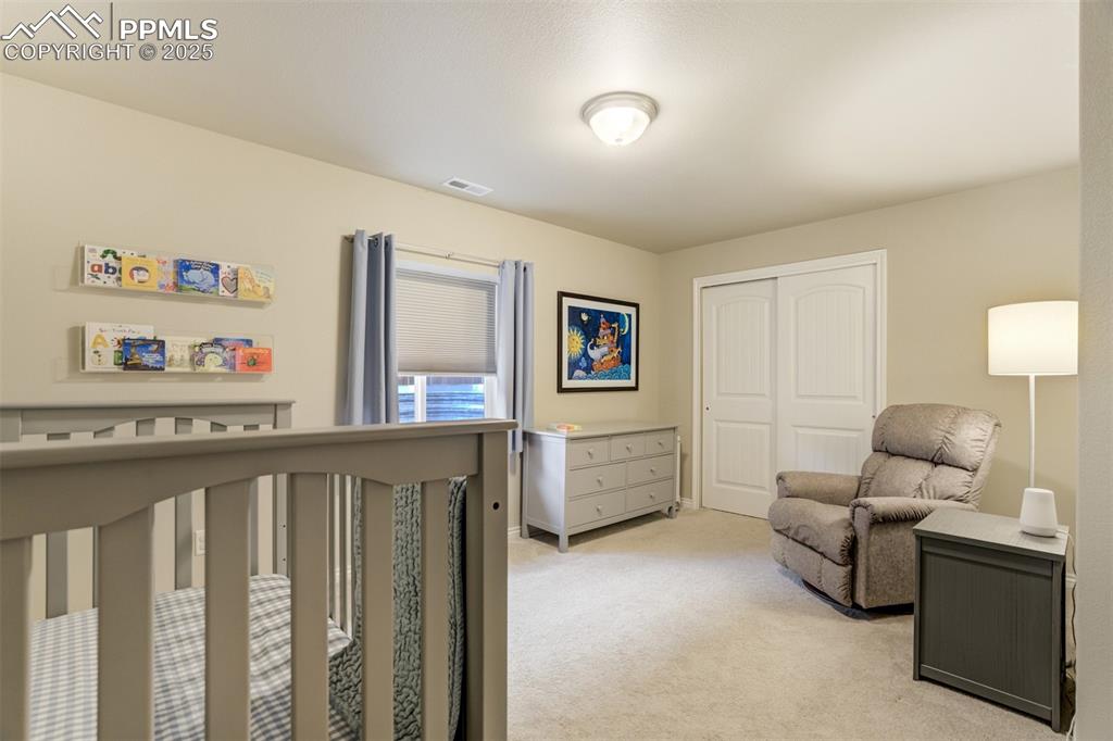 Image 28 of 42: One of two basement bedrooms