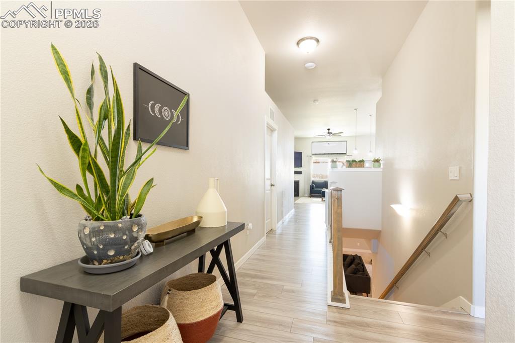 Image 4 of 49: No Description Available