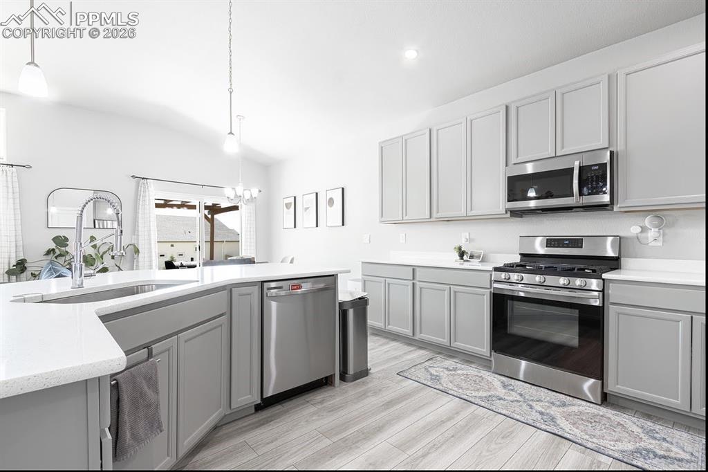 Image 44 of 49: No Description Available