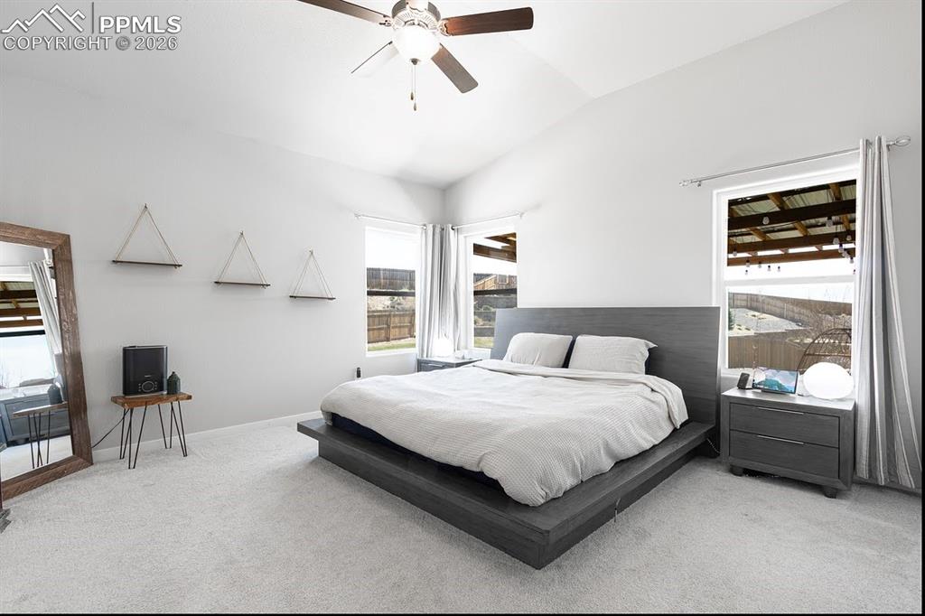 Image 46 of 49: No Description Available