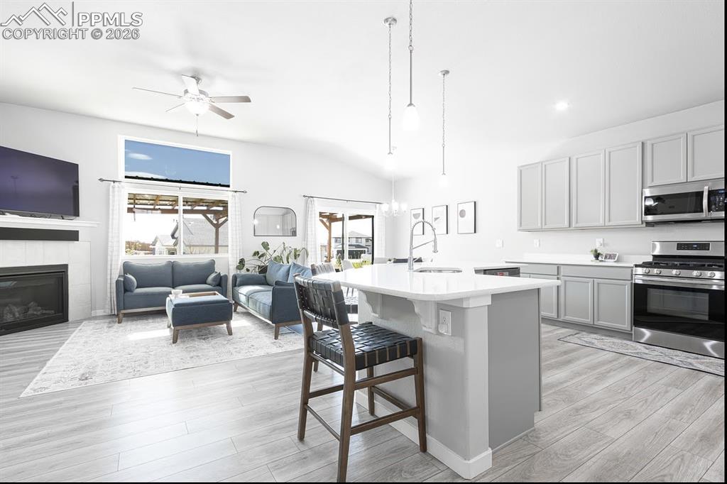 Image 47 of 49: No Description Available