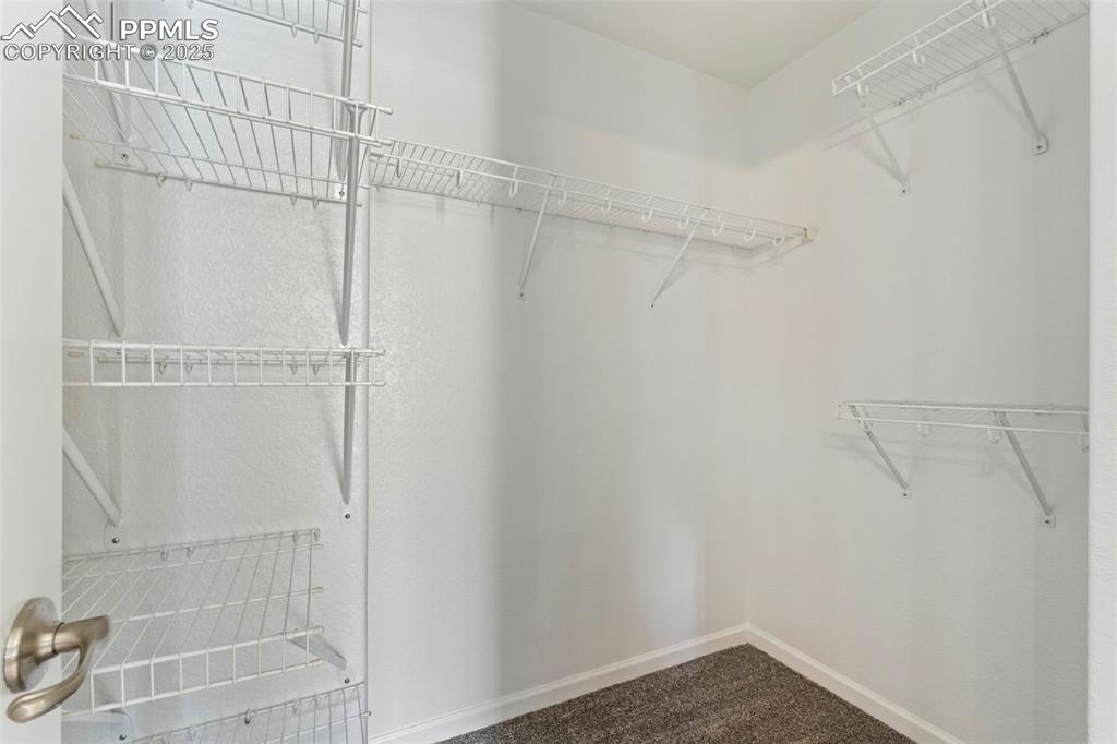 Image 28 of 48: Walk in closet featuring dark carpet