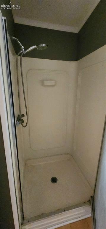 Image 17 of 25: primary shower