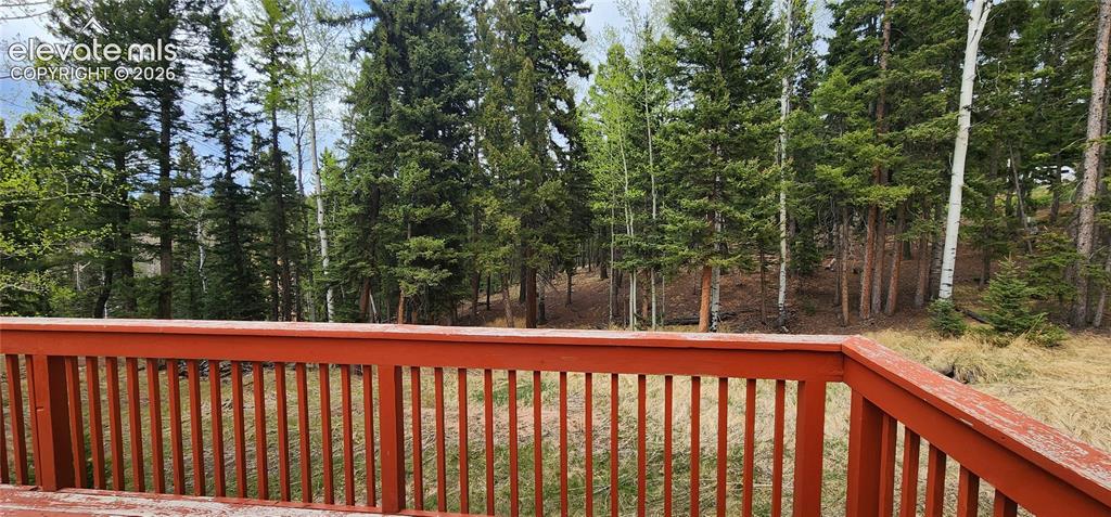 Image 21 of 25: forest view