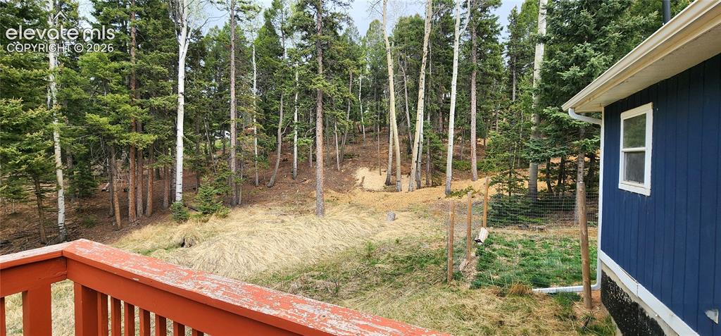 Image 24 of 25: forest view
