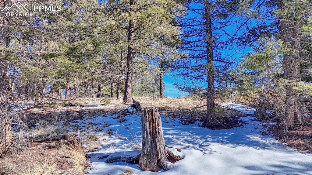 Image 13 of 34: View