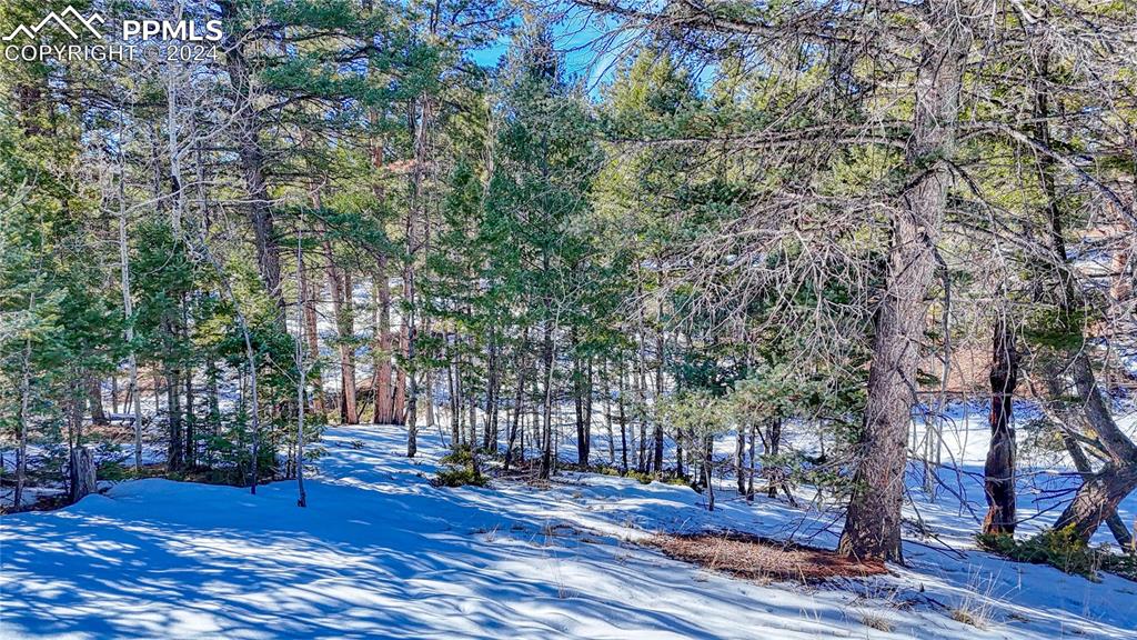 Image 16 of 34: Other