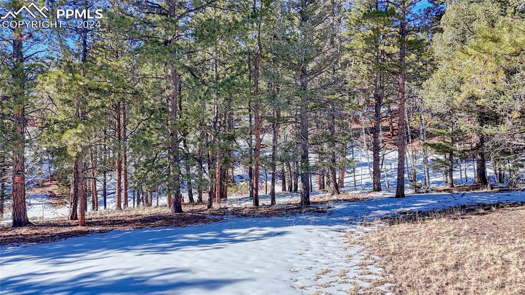 Image 27 of 34: Other